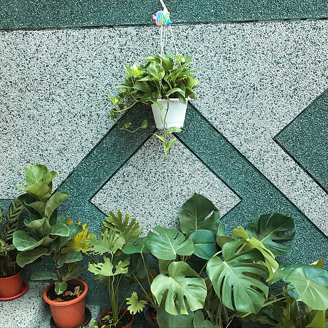 実例写真