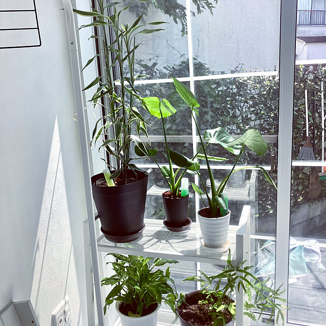 MOMOMAMAさんの部屋