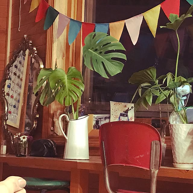 実例写真