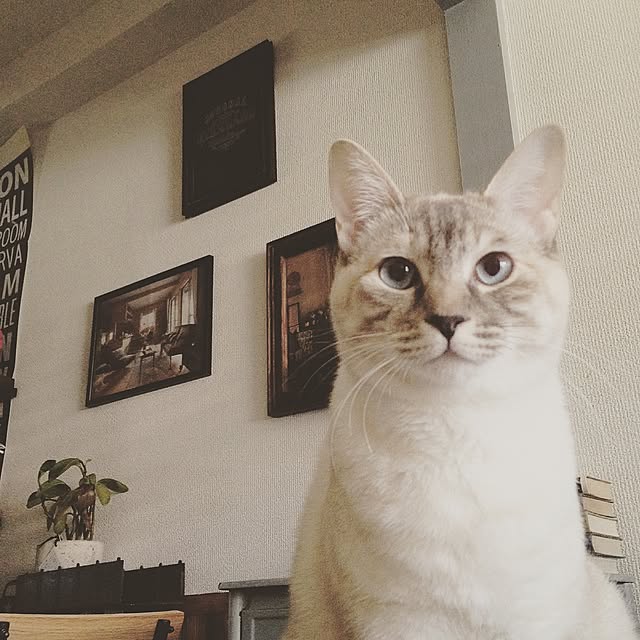 Naoki.さんの実例写真