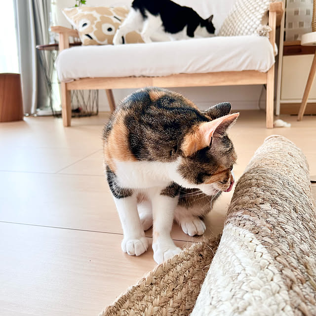 Miyu_さんの部屋