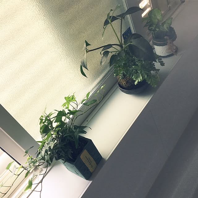 PIYOLANDさんの実例写真
