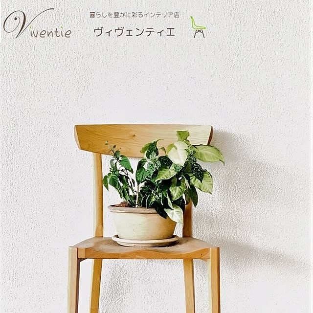 viventieさんの実例写真