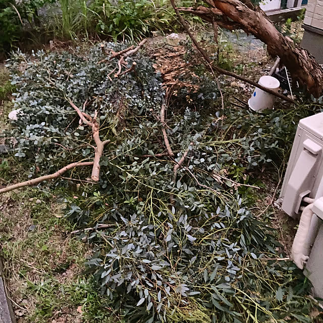 ayayayayaさんの部屋