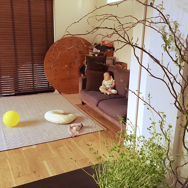 リビング/観葉植物/ソファ/アンティークのインテリア実例 - 2015-07-14 12:55:45