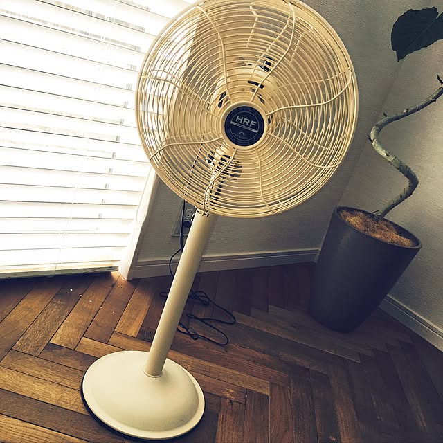 Macoさんの実例写真