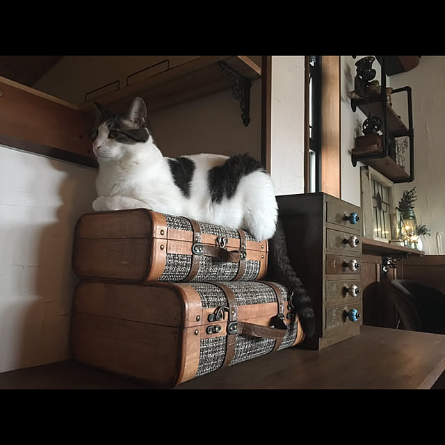 marusanさんの実例写真