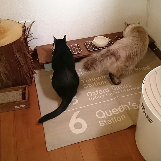 kazaneさんの実例写真