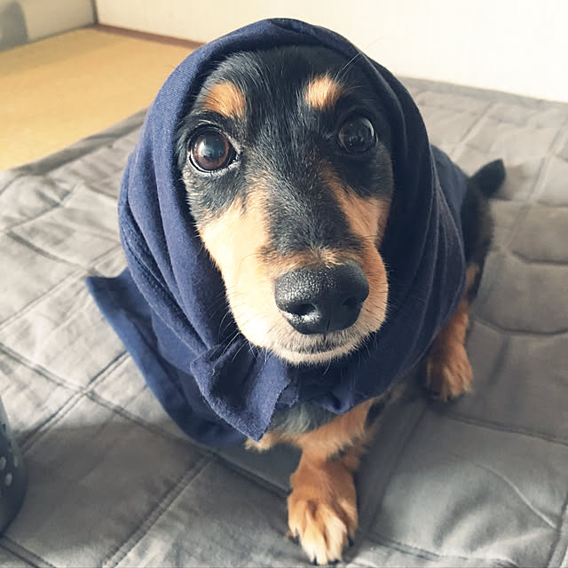 ohanaさんの実例写真