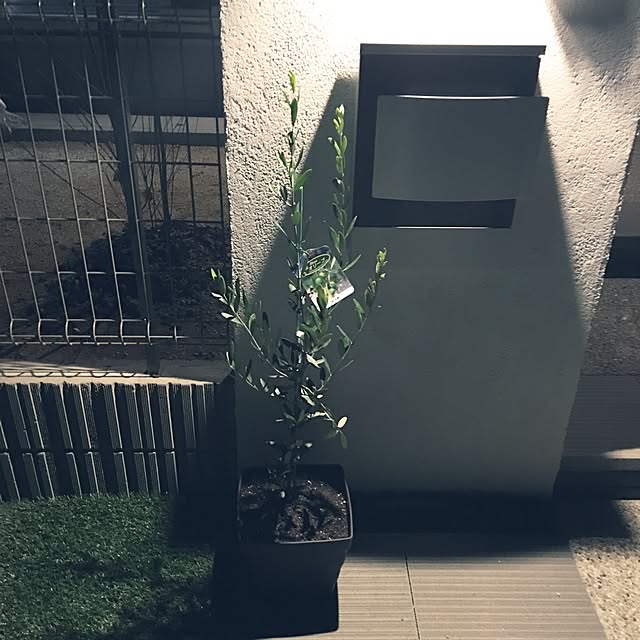 Katsuhiroさんの実例写真