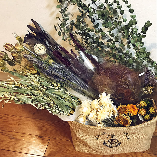 Unokiさんの実例写真