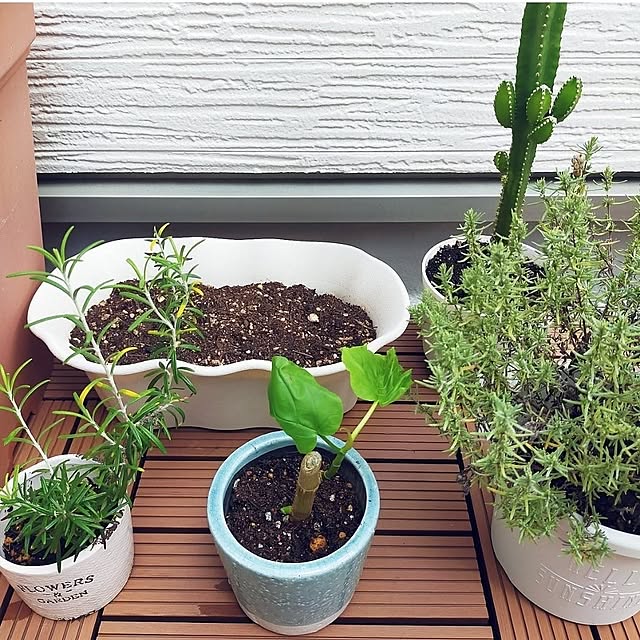 JKさんの部屋