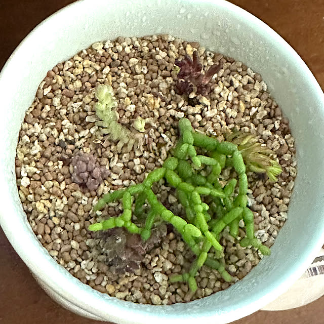 fujimachiさんの部屋