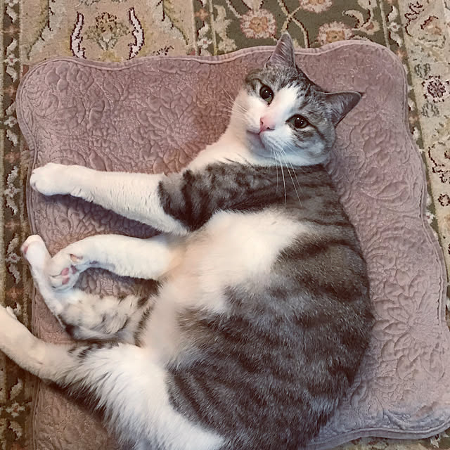 emmyyさんの実例写真