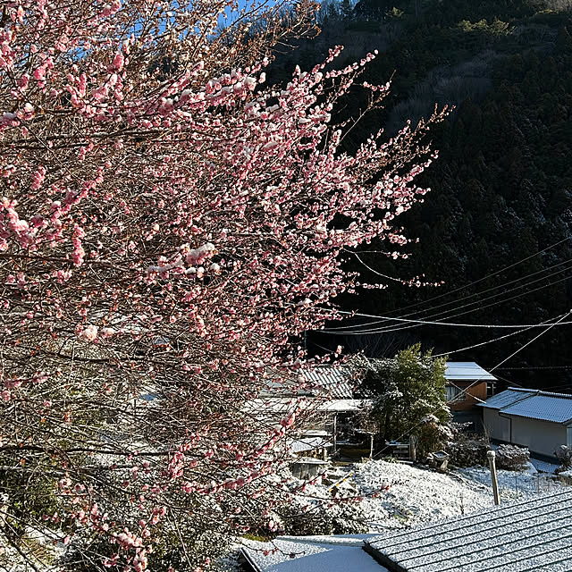 kanaさんの実例写真