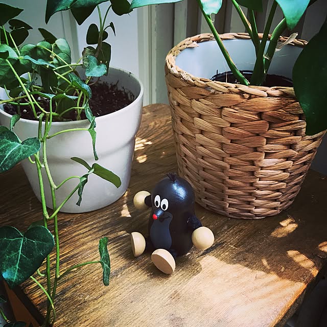 uepさんの実例写真