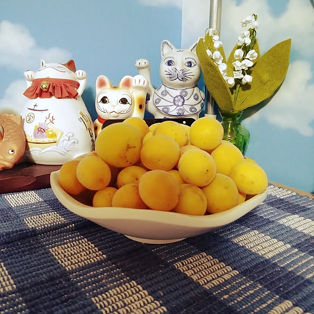 kiyohima229さんの実例写真