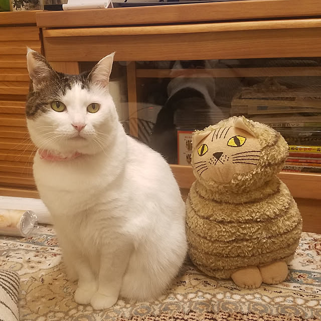 yuuさんの実例写真