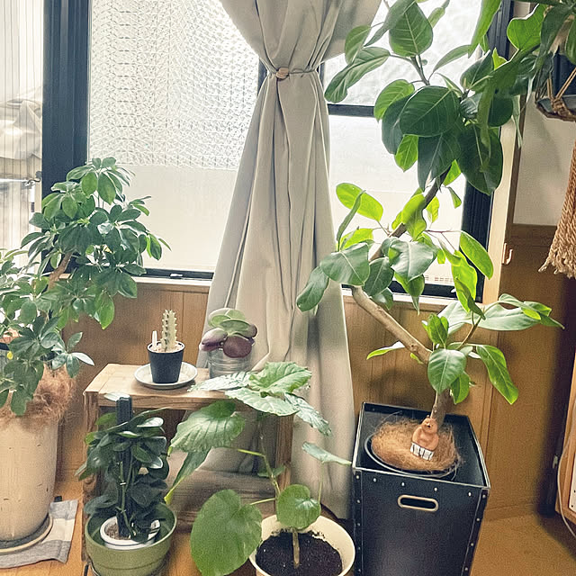 cohさんの実例写真