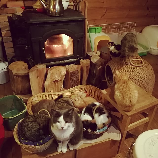 Maki-nekomamireさんの実例写真