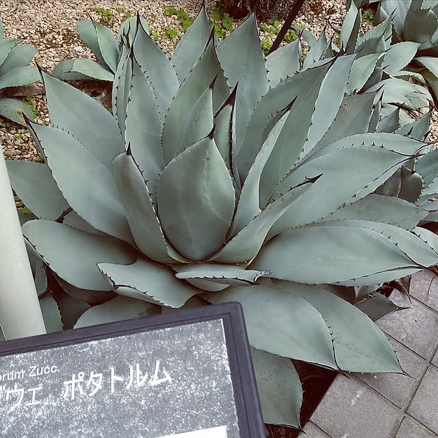 meiさんの部屋