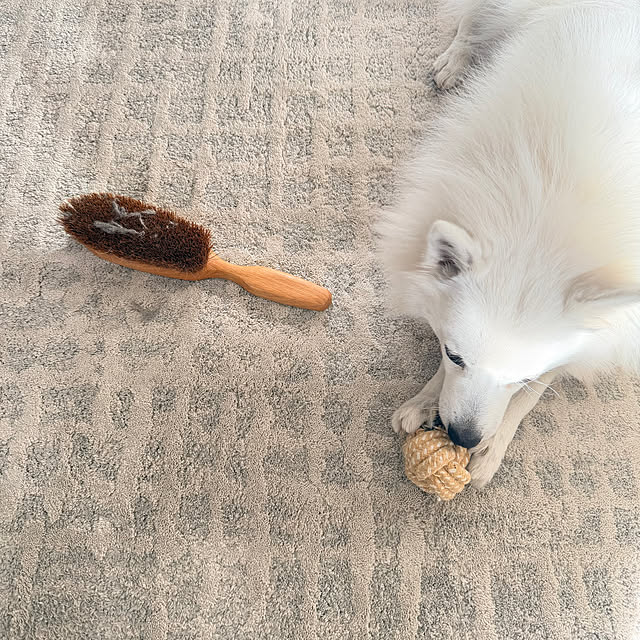 nuruiさんの部屋