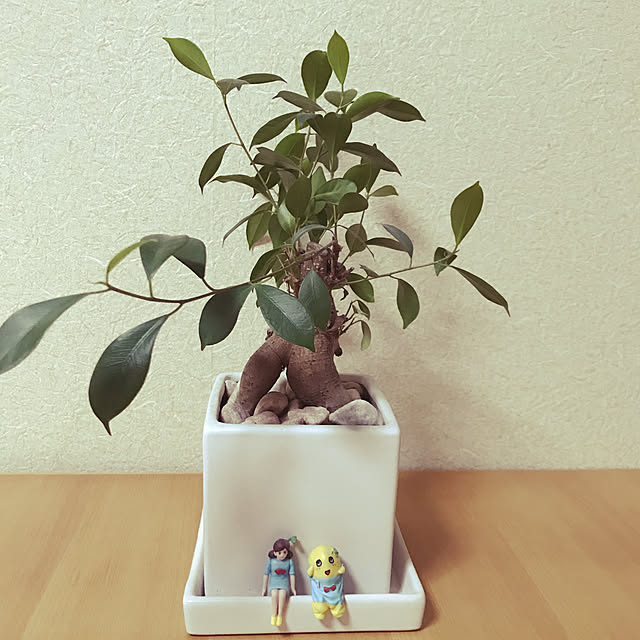 torokichi9さんの実例写真