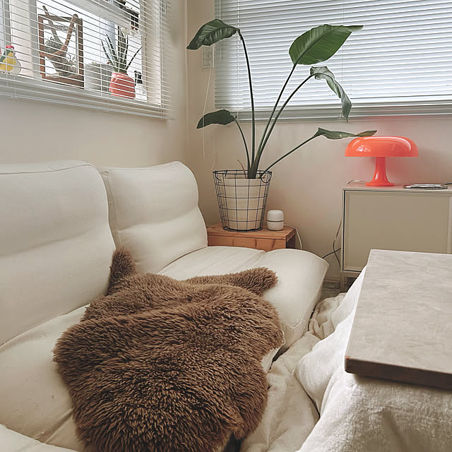 mako2yaさんの実例写真