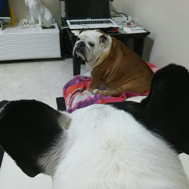 AandPさんの実例写真