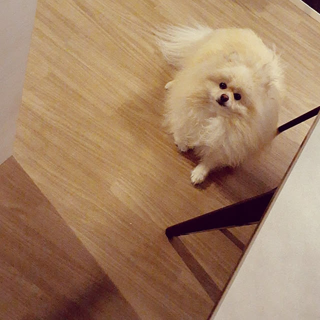 noahさんの実例写真