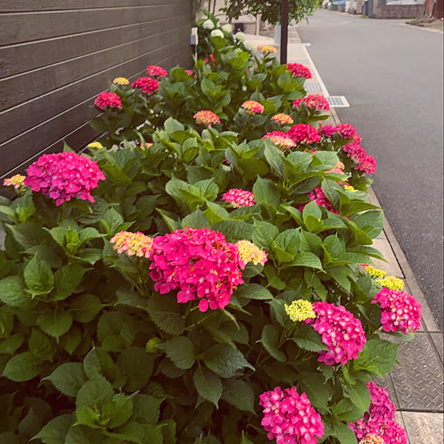 hanaさんの部屋