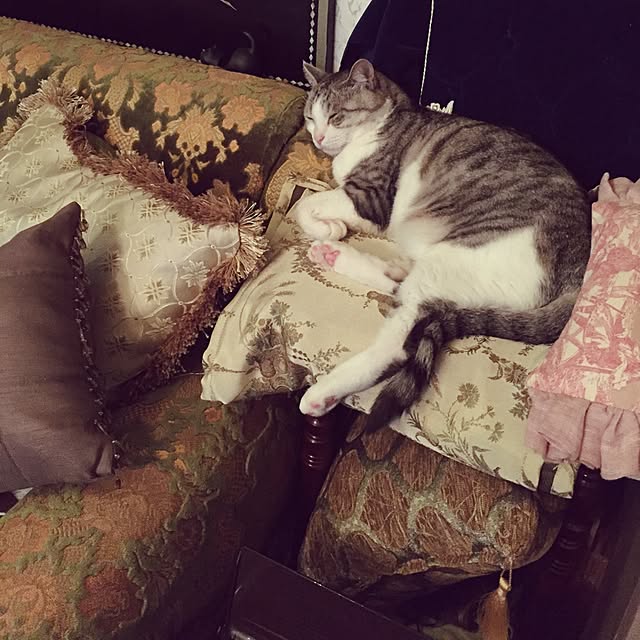 emmyyさんの実例写真