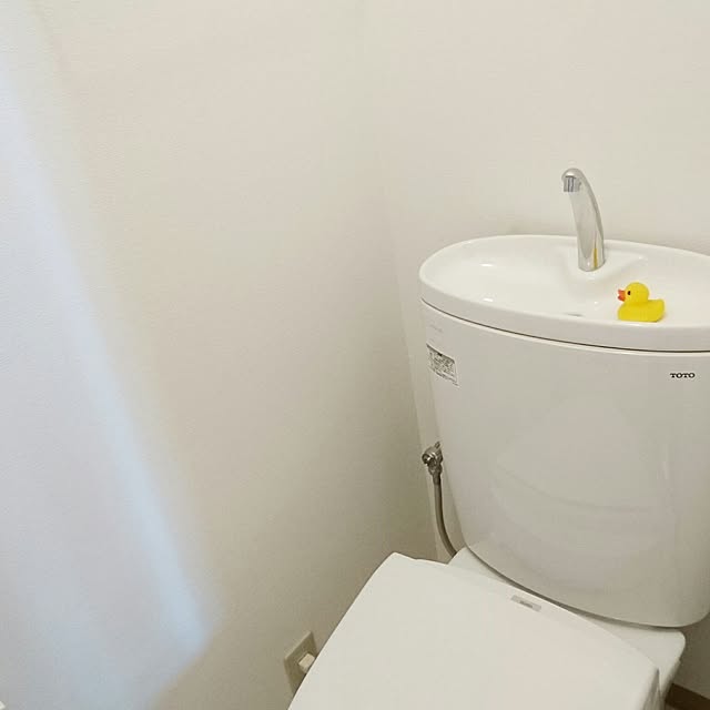 pepeさんの実例写真