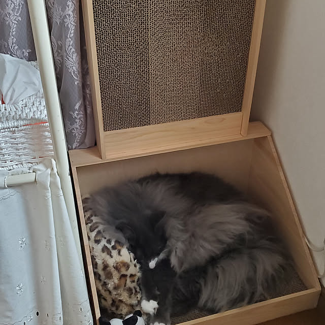 Pepperさんの実例写真