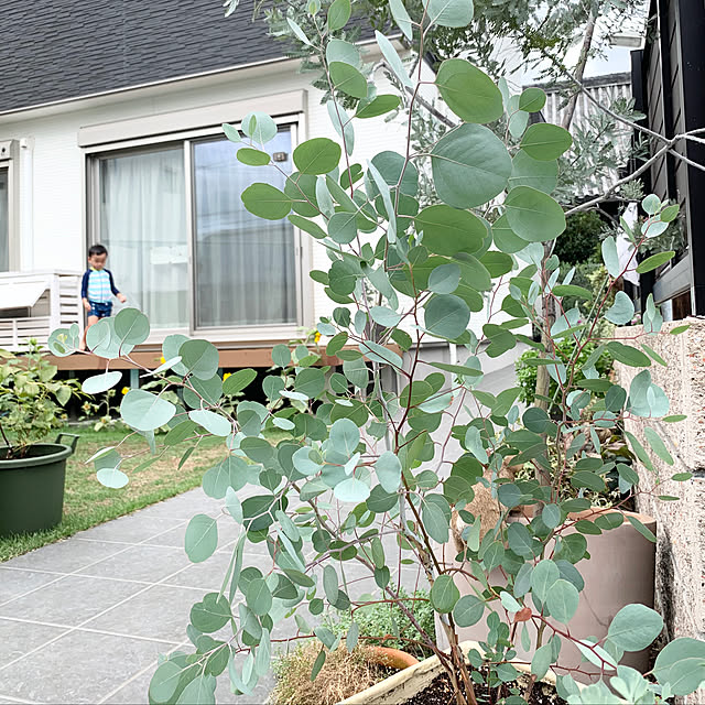 yumipさんの実例写真