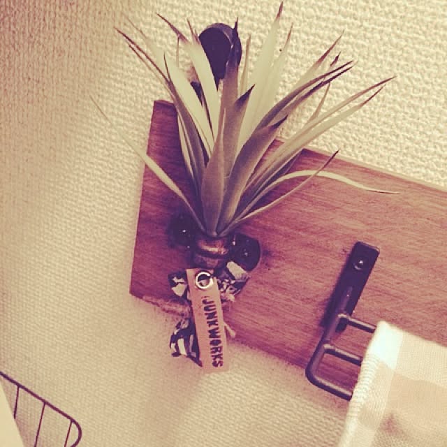 soaraさんの実例写真