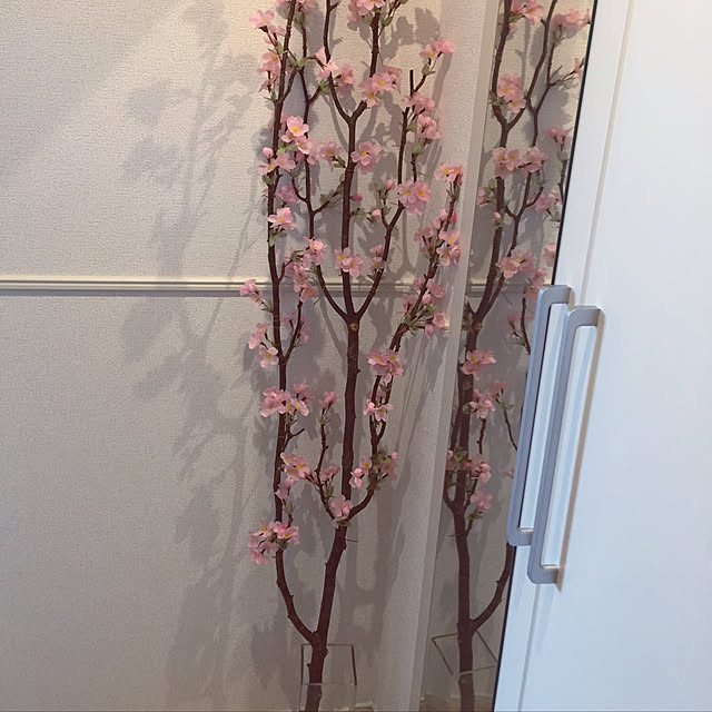 玄関/入り口のインテリア実例 - 2018-04-10 13:23:53