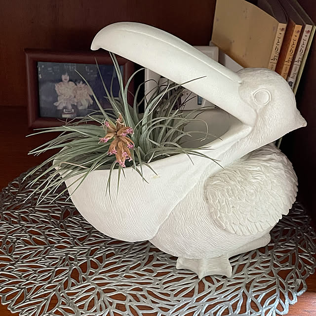 Erikoさんの実例写真
