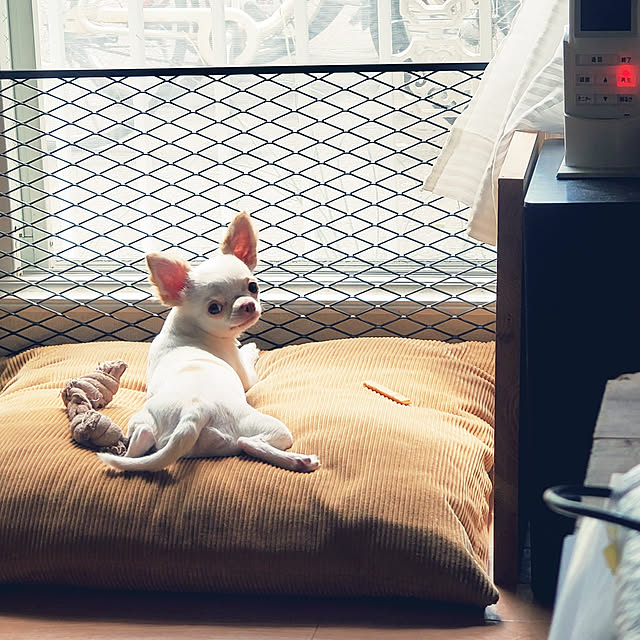 maaaaroさんの実例写真