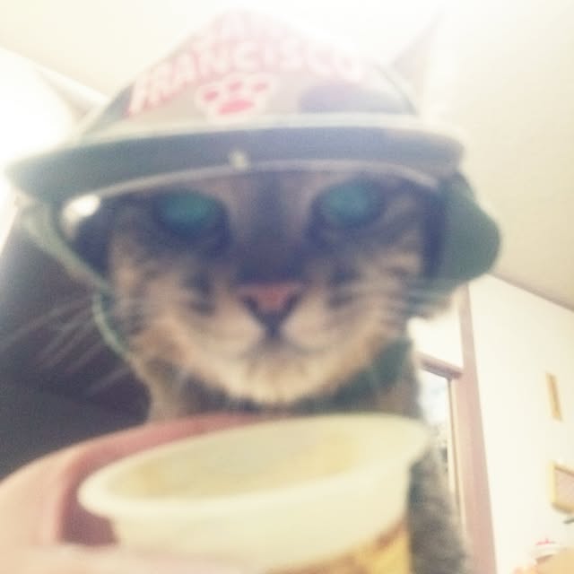 kittenblueさんの実例写真