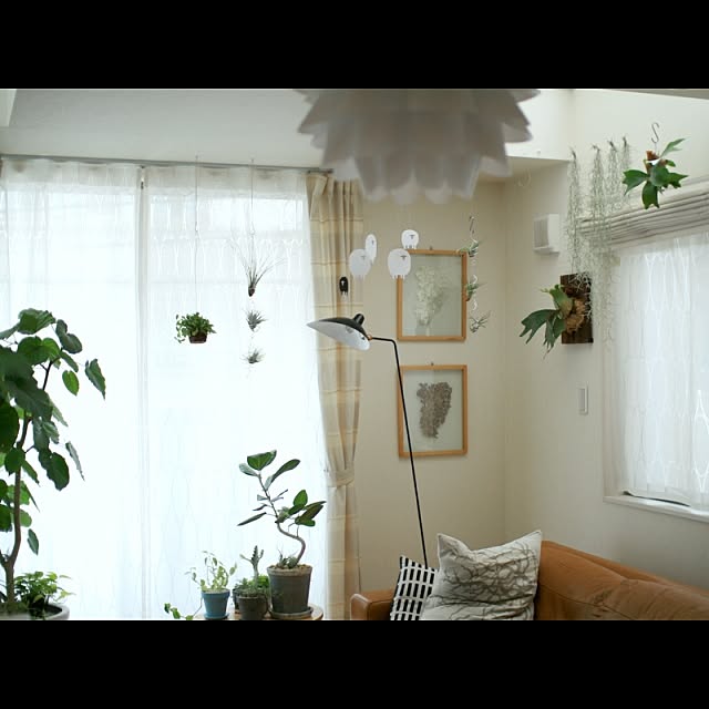 koenyokoさんの実例写真