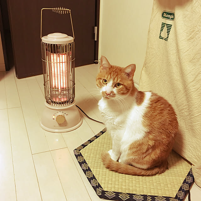 nyanyakoさんの実例写真