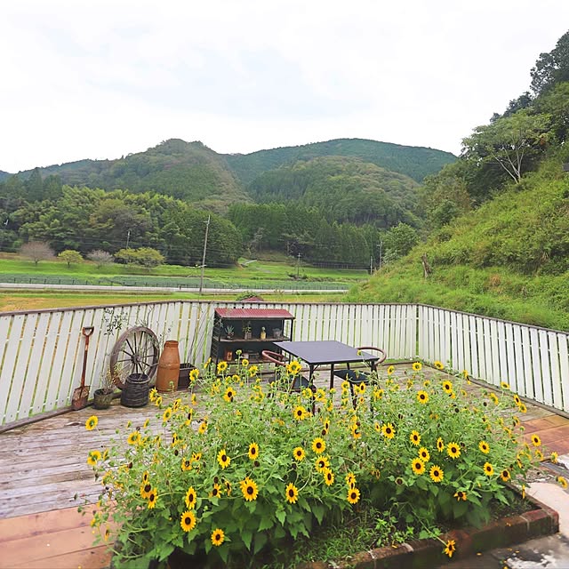 slow-lifeさんの部屋