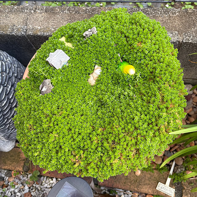 nannoさんの実例写真