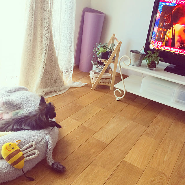 minimonさんの実例写真