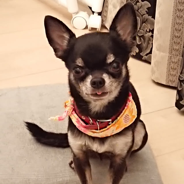 Bienvenueさんの実例写真