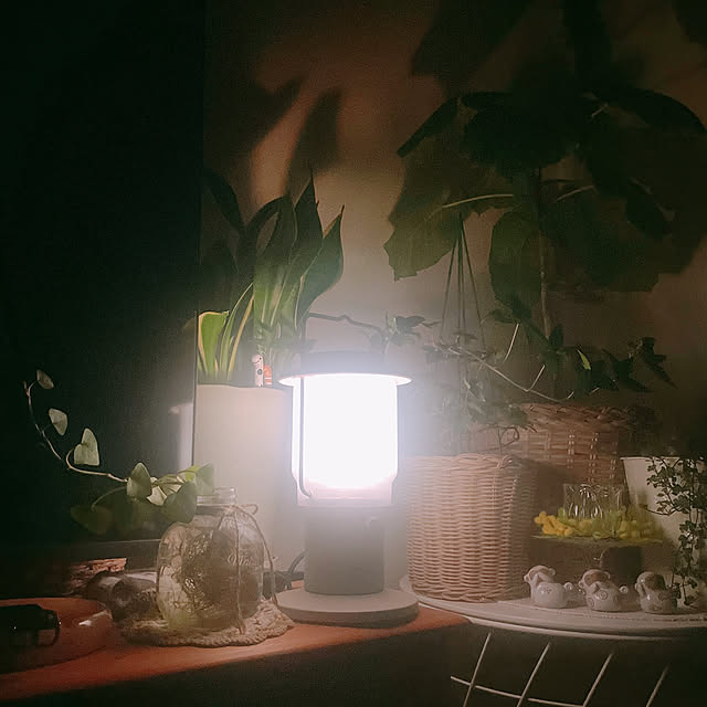 akiko-ovさんの部屋