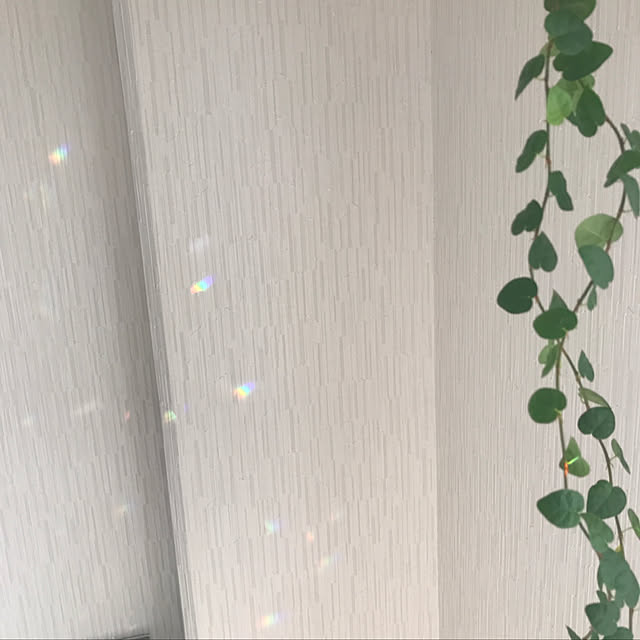 alohaさんの実例写真