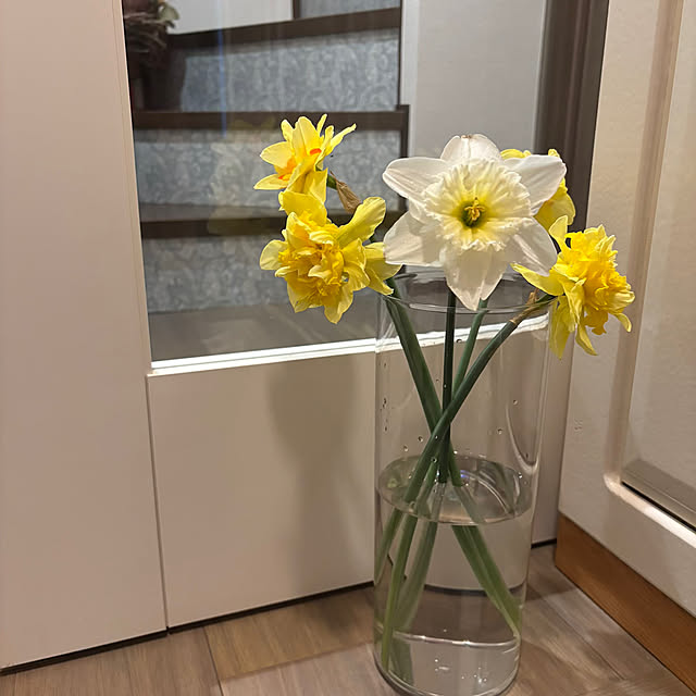 momocchiさんの部屋