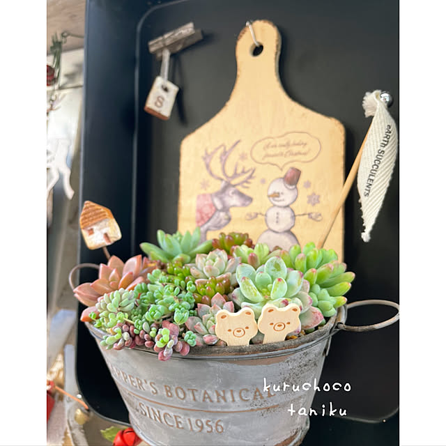 kurumichocoさんの実例写真